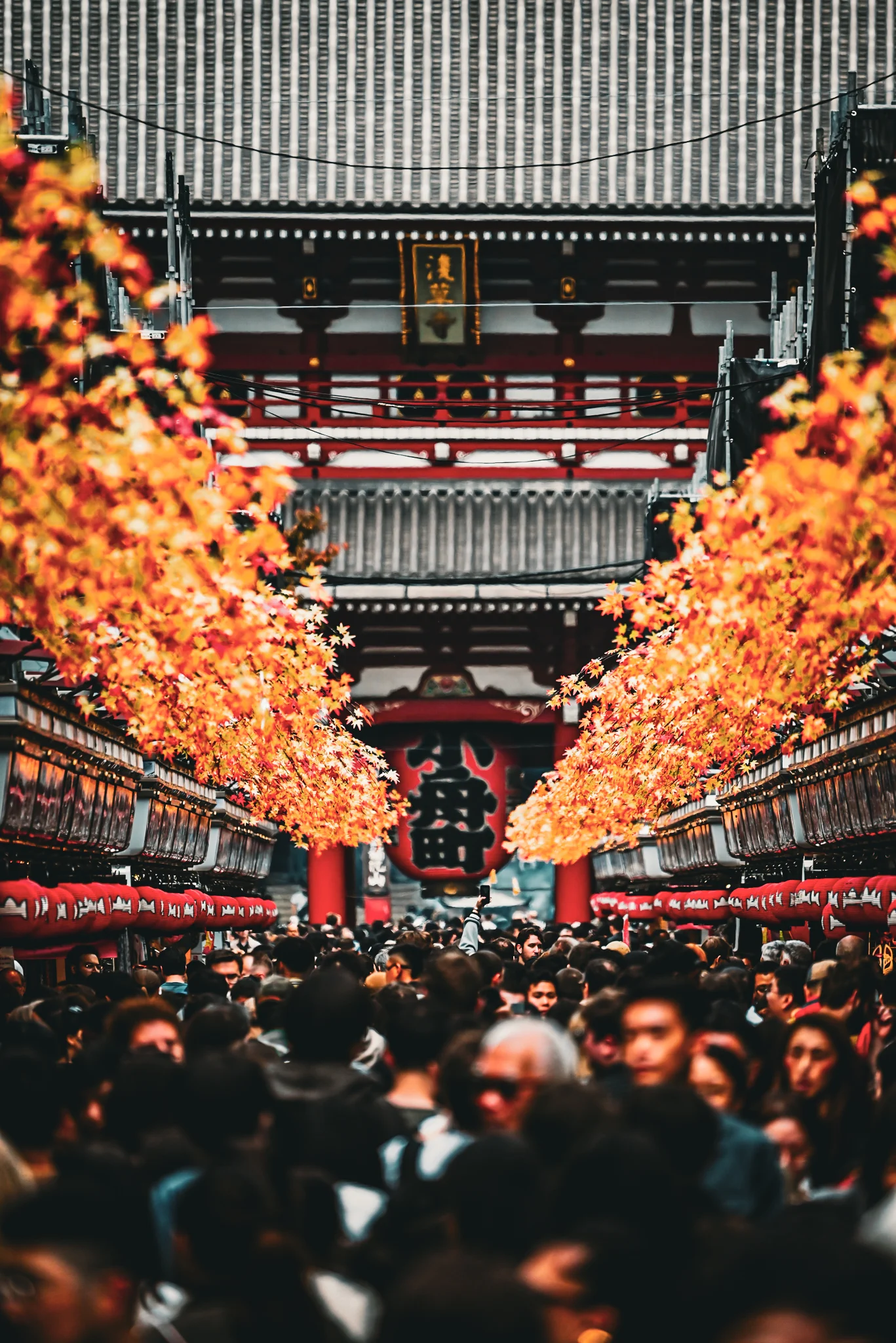 紅葉と提灯に囲まれた浅草寺参道の人混み